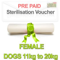 Sterilisation Voucher Pre-paid Female Dogs 11kg to 20KG