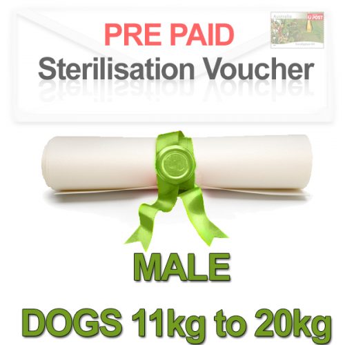 Sterilisation Voucher Pre-paid Male Dogs 11kg to 20kg