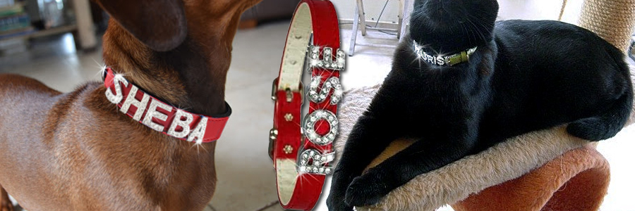 Bling Dog Collars