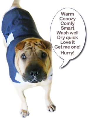 Dapper Dog Coat from Hanly Vets