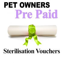 Pet Owners Sterilisation vouchers for Cats