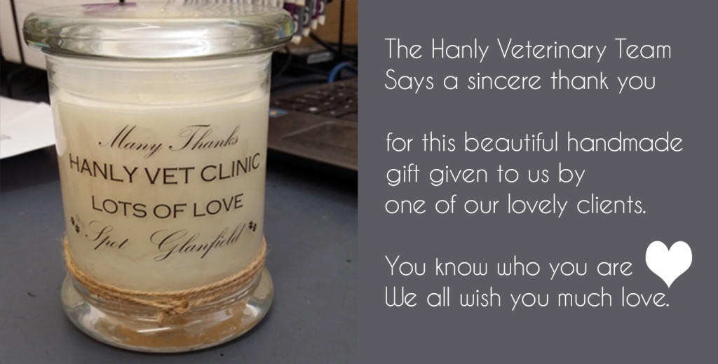 Hanly Veterinary Team thanks you