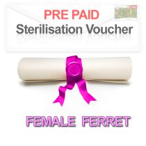 Pre paid Sterilisation for a Female Ferret