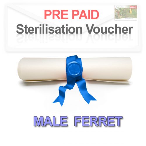 Pre paid Sterilisation for a Male Ferret