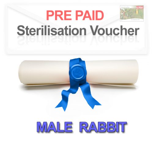 Pre paid Sterilisation for a Male Rabbit