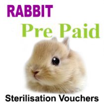 Pre Paid Sterilisation for Rabbits