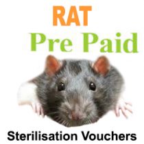 Pre Paid Sterilisation for Rats
