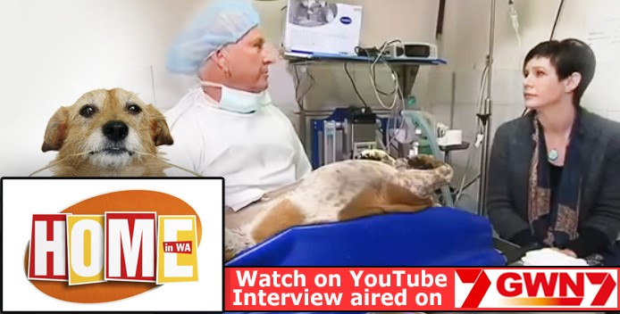 Dr Gary Hanly on why is it important to sterilise pets