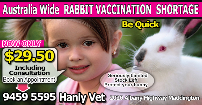 Rabbit vaccine shortage Australia wide
