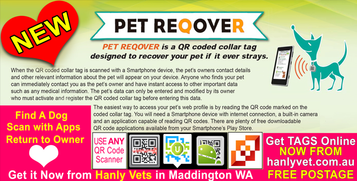 QR coded Pet Tags from Hanly Vet