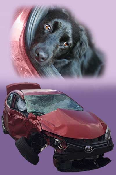 Emergencies are a priority