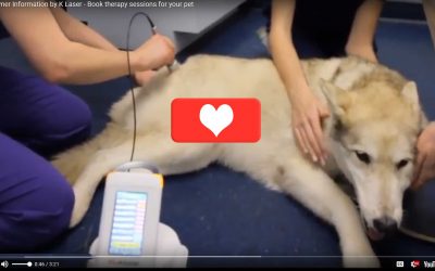 K-Laser Therapy Sessions in WA Learn The Benefits of K-Laser therapy