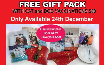 FREE Gift Pack with Dog & Cat Vaccinations 24th Dec ONLY