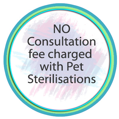 no-consult-with-pet-sterilisations